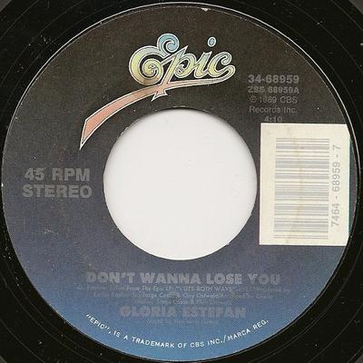 7-Zoll Schallplatte GLORIA ESTEFAN - Don't Wanna Lose You 3468959 Epic 1989 US Rock Gebraucht