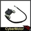 Ignition Coil For Briggs & Stratton 161430 161432 161436 161437 111902 111982 286702 286707 28B702 28B707 28C707 28D707 31G777