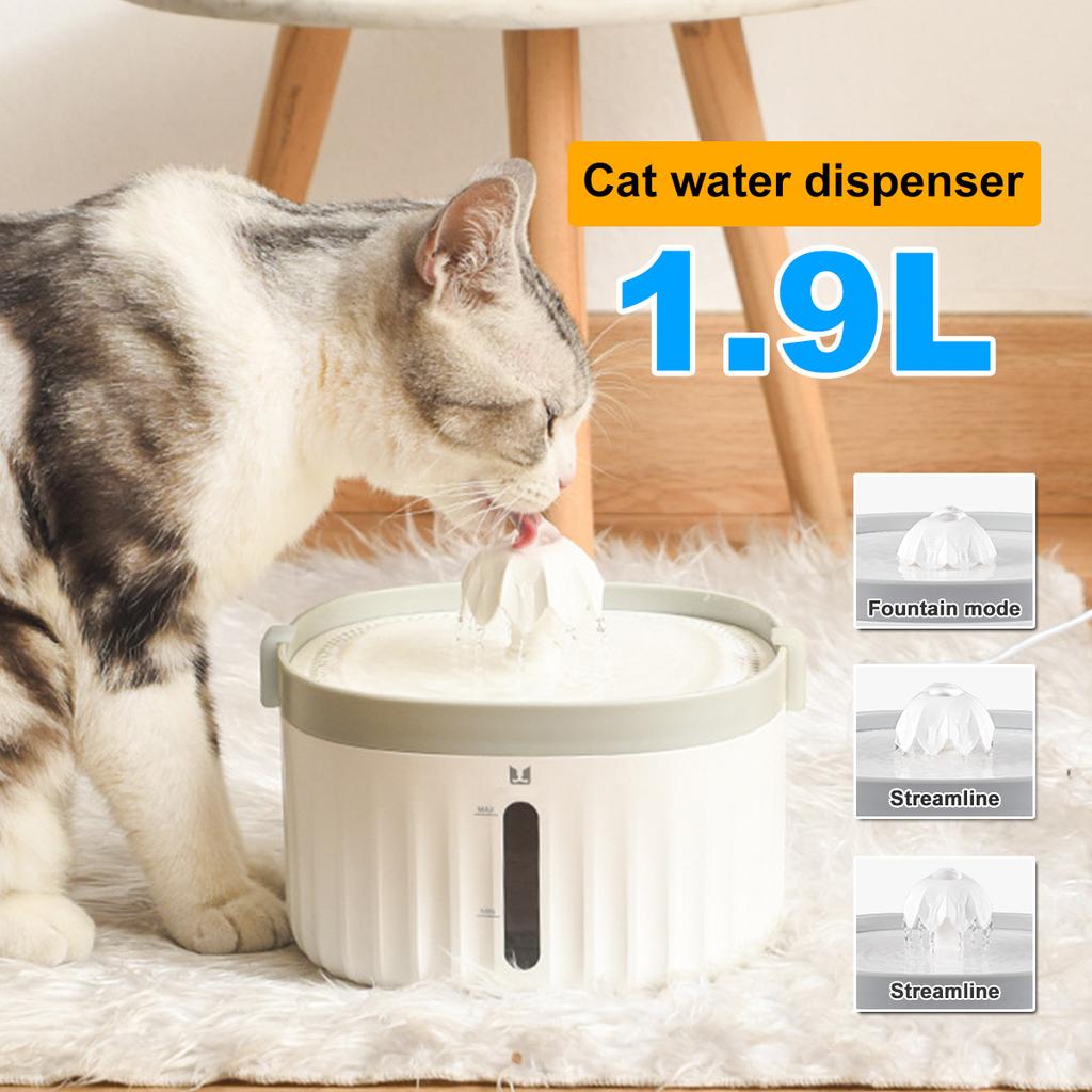 cat water feeder