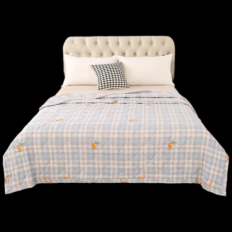 

Southern Life Skin-Friendly Antibacterial Summer Quilt