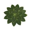 M – verde