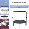 Binnenshuis Fitness Trampoline voor Kinderen & Volwassenen - Springbed met Veren