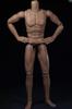 HiPlay WorldBox 1/6 Scale Male Figure Body with Head Connector, Highly Durable and Articulated, AT020