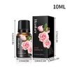 10ML Essential Oils for DIY Scented Candle Soap Essence Fragrance Oil Perfume Refill Aroma Diffuser Natural Plant Essential Oil