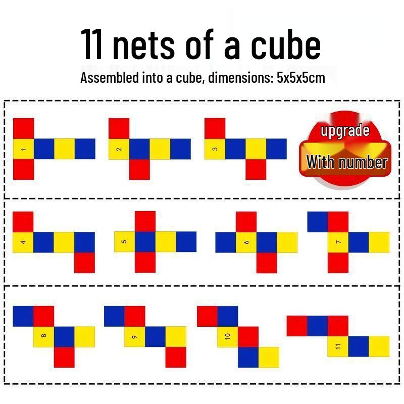 Cube and Rectangular Prism Nets Demonstrator: 11 Cube Nets & 54 Rectangular Prism Nets