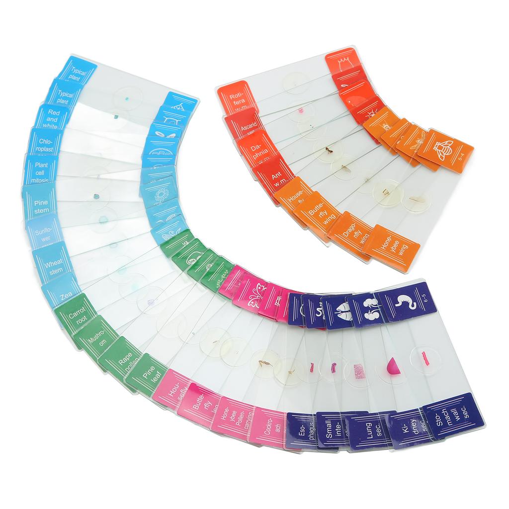 30Pcs Microscope Slides with Box Transparent Biology Prepared Slide Set for Laboratory