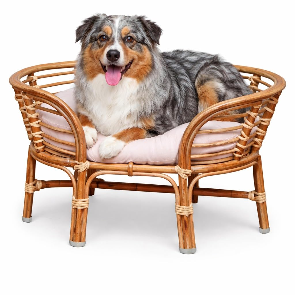 Eco Decx Bamboo Cane Pet Bed | Wood Cane Pet Bed for Dogs & Cats | Natural Woven Pet Bed Without Cushion | Indoor Pet Furniture | 67 x 50 x 41