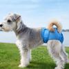 Comfort Fit Dogs Diaper High-Absorbency Pet Physiological Pants Dog Underwear  Anti-Harassment