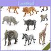 South Africa Zebra Lionanimal Pvc Model Set With Realistic Wildlife Figures For Educational Display