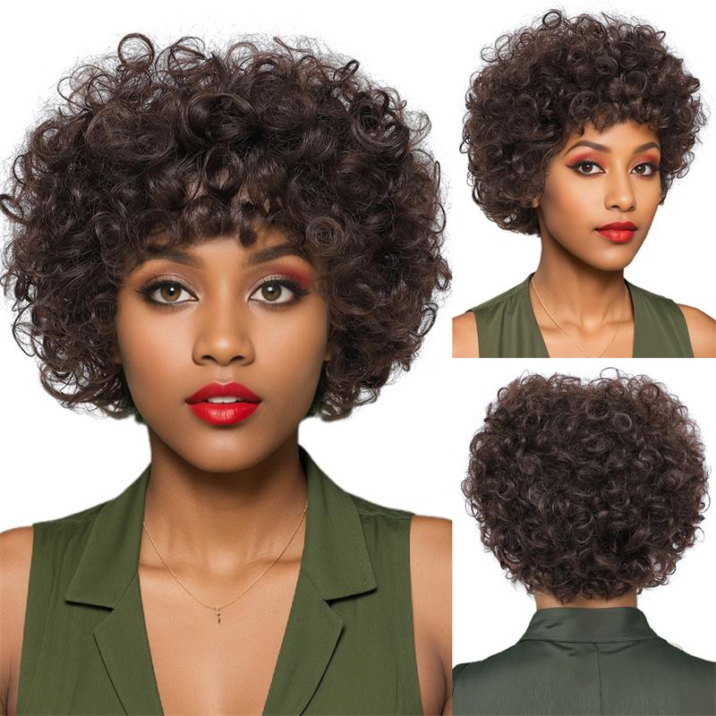 Synthetic Short Curly Brown Wigs for Women Fluffy Wigs with Bangs Daily Party Cosplay Costume Heat Resistant Female