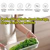 Sealed Refrigerator Storage Box Fresh Keeping Clear Food Container BPA Free for Kitchen Fridge Organization