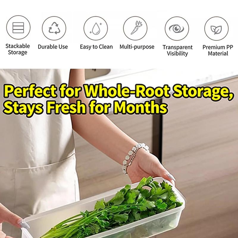 Sealed Refrigerator Storage Box Fresh Keeping Clear Food Container BPA Free for Kitchen Fridge Organization
