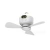 Rechargeable Ceiling Fan with Remote 4Speeds USB Ceiling Fan Hangings Fan for Camping Bed Camping Tent Canopys Cubicle