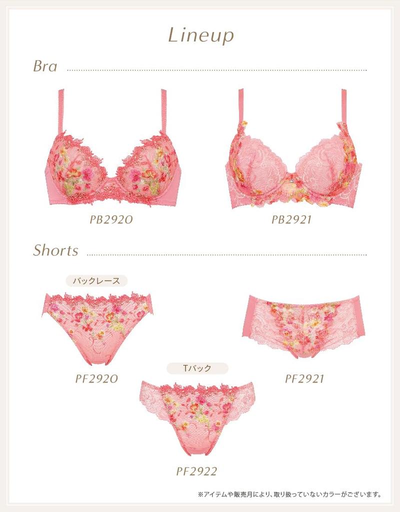 Bra Wing Slimming Silhouette with Clean Reduces Unevenness In the Back and Excess Side Fat Fits Up To G Large Size GR D65 [Wing/Wacoal] Lesiage,