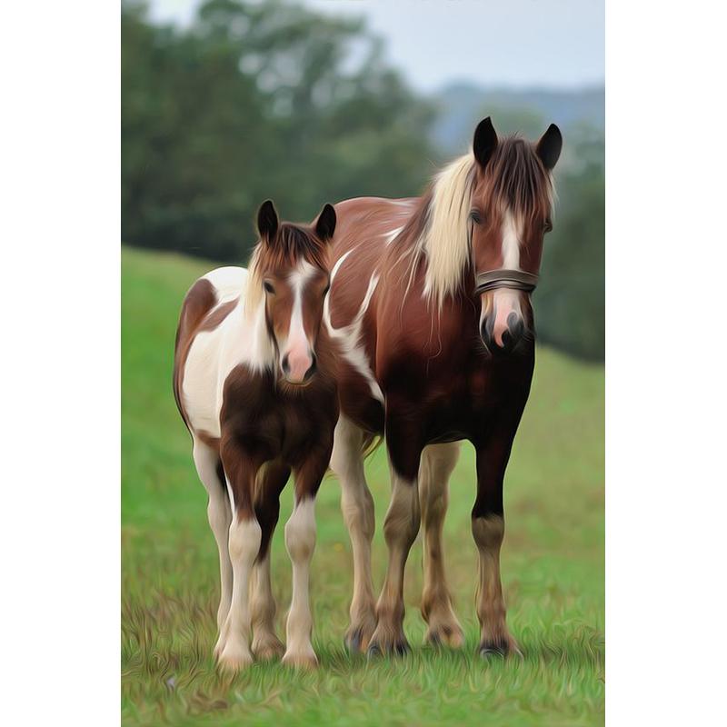 At DIY 5D Elmas Boyama Tam Yuvarlak Matkap Hayvan Elmas Nakış Çapraz Dikiş Mozaik Kitleri Reçine Duvar Sanatı Ev Dekor