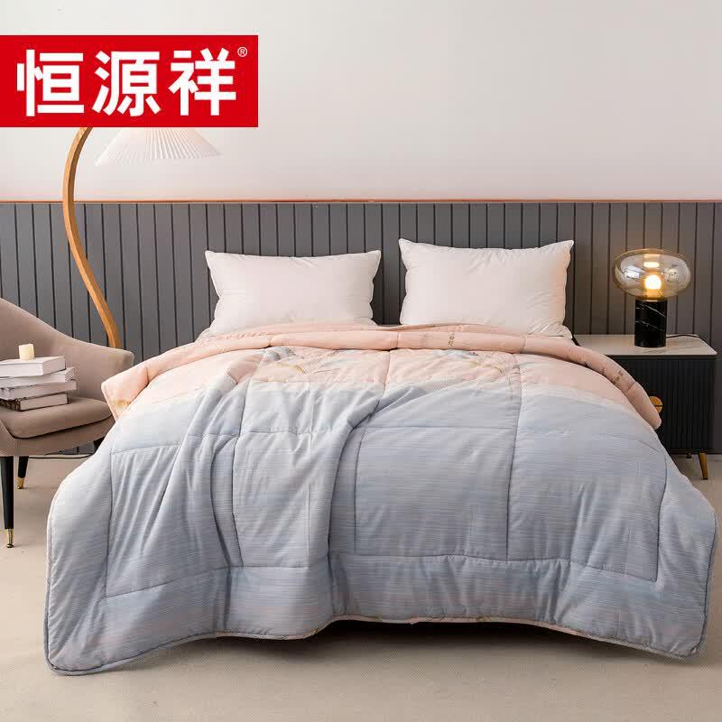 

Hengyuanxiang All-Season Washable Foldable Quilt