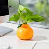 Anti Fall Plant Pot Orange Shaped Vase, Decorative Hydroponics Creative Flower Container, Small Sustainable Plastic Vase for Living Room Bookshelf