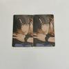 [USED] Taishiro-kun, You Really Are Something. Purchase Bonus: Trading Card, TCG, Sasami
