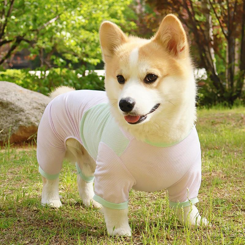 Lightweight Dog Suit Corgi Shiba Pomeranian 4-Legged Cooling UV Protection Anti-Shedding Home Wear