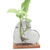 Colorful Love Shaped Glass Vase with Wooden Hydroponic Flower Plants Vase Desktop Ornament Living Room Office Decoration