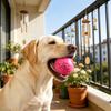 Squeaky Dog Ball Raised Texture Dog Chew Toy Dogs Teeth Cleaning Toy Relieves Boredom And Anxiety for Puppy Teething Fetch Game