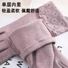 Warm gloves women's thousand bird grid elegant outdoor riding cold and windproof single-layer lace spring and autumn gloves