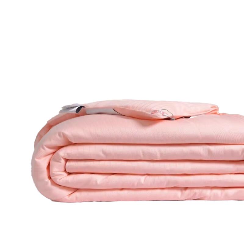 Chang Xiang Yi Mulberry Silk Winter Comforter