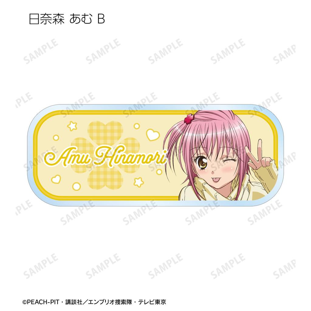 TV Anime Trading Acrylic Box of 11 "Shugo Chara!" Nameplates,