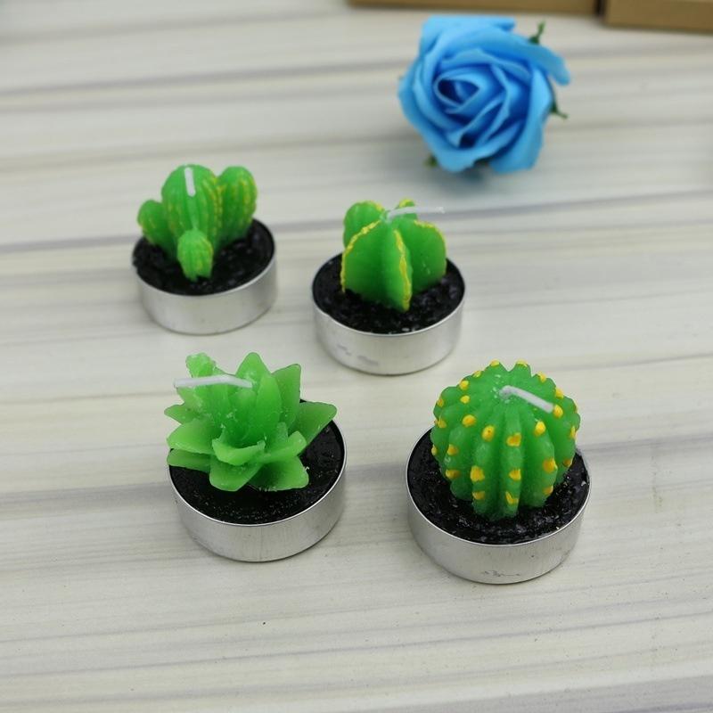 Lovely Fleshy Potted Plants Fruit Scented Candles Creative Home Decor