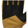 Black Diamond Gloves Everyday Softshell