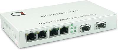 Optical Media Converter 2 Ports Open SFP Slot 4 Ports UTP Compatible Mini Switch Gigabit Ethernet Auto Detection Function SFP Compatible + RJ-45
