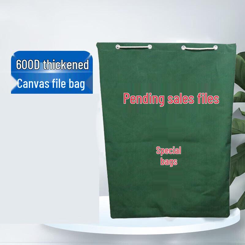 Heavy-Duty Secure Document Transfer & Storage Bag