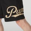 Puma Atmungsaktive Bequeme Fünf-Punkt Freizeitshorts Herrenshorts Schwarz 630941-01