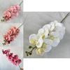 3d French Phalaenopsis Artificial Flowers For Wedding Decor Home Hotel Display