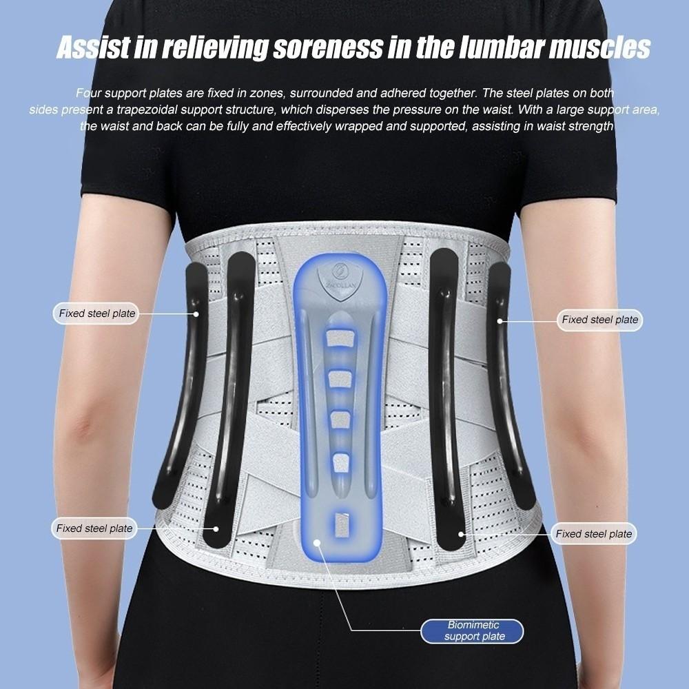Ergonomic Support Back Brace Adjustable Straps Lower Back Brace  Back Pain Treatment