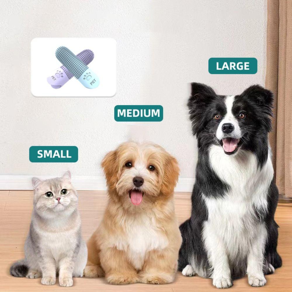 Super Soft Pet Toothbrushes Nontoxic Cats Mouth Cleaner  Cats And Dogs