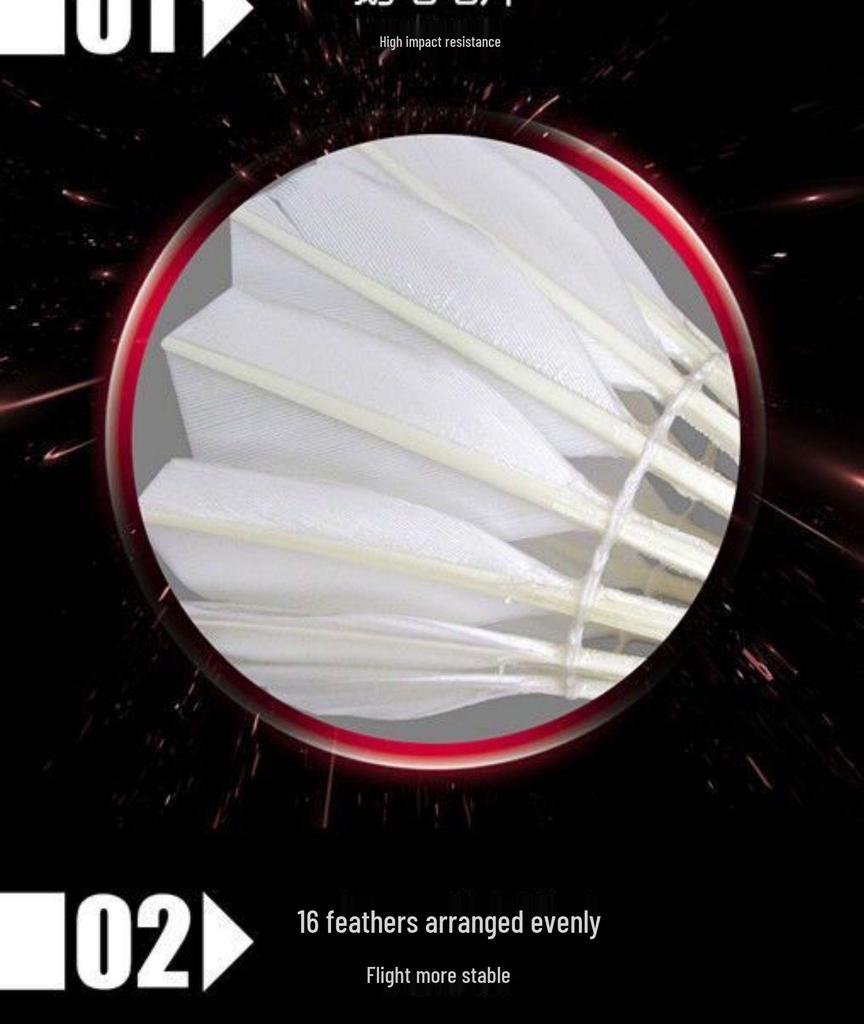 AS05 Windproof Duck Feather Badminton Shuttlecock - Durable and Stable for Indoor/Outdoor Training and Competition