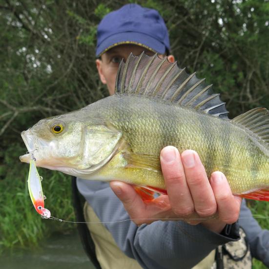 11cm/13g Lure Bait 3D Design Lightweight Increased Fish Rate