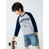 New Korean-Style Spring Tops for Older Children, Children's Clothing, Boys' Cartoon Dinosaur Long-Sleeve T-Shirt, Raglan Pure Cotton Base Shirt