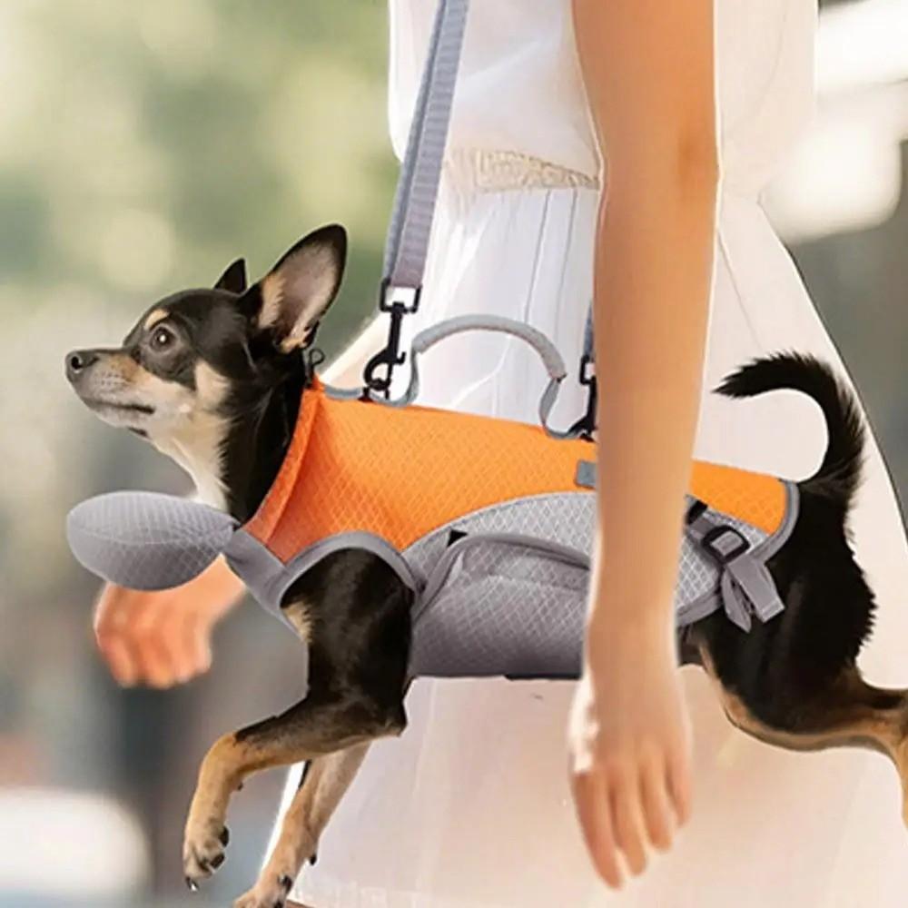 Breathable Pet Cooler Jacket Full Support Pet Outing Backpack Walking Dog