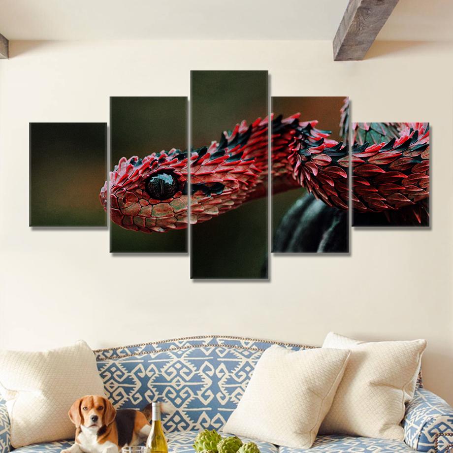 

HD canvas art painting of living room wall decoration 5 pieces of Kivu tree viper picture poster 20x35 20x45 20x55cm