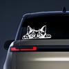 Cartoon Cat Peeking Car Sticker Decal Pet Animal for Auto Vehicle Windshield Bumper PVC Offroad Car Vinyl Decoration Accessories