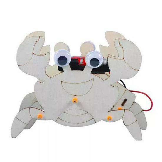 DIY Bionic Crab Robot Kit for Kids - Hands-On Science & Physics Exploration