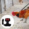 Pet Harness Bowknot Decor Walking Safety Fabric Safe Chest Strap Leash for Chicken