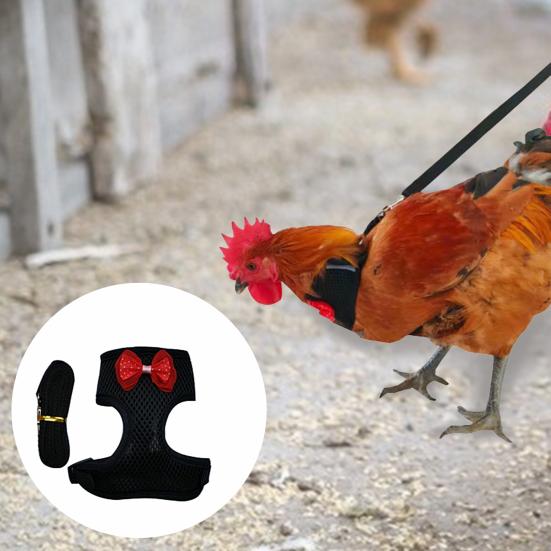 Pet Harness Bowknot Decor Walking Safety Fabric Safe Chest Strap Leash for Chicken