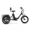 ONESPORT OT30 Pro Adult Electric Tricycle 500W 48V18AH Electric Cargo Tricycle 20 Inch All-Terrain Tires E-Tricycle City E-Cargo Tricycle