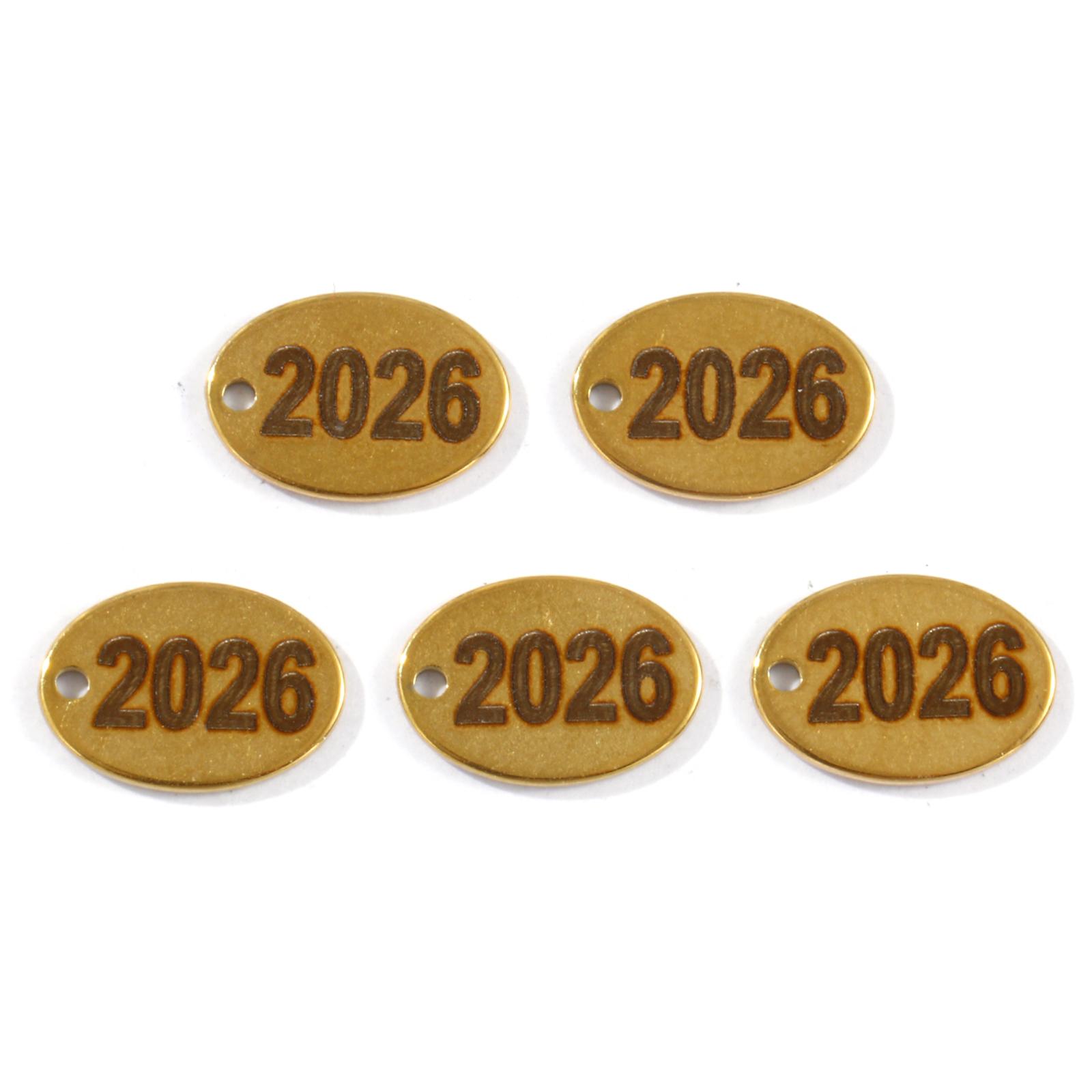 

5Pcs New Arrival Stainless Steel Year Charms Gold Plated Oval Message 2026 Roller Burnishing Single Sided Engraving 13mmX9mm