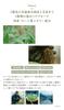 N organic scalp hair care series (chant reset)