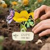 Station d'abreuvement pour abeilles en forme de fleur Jardin Extérieur Mangeoire à papillons Bol pour boire les pollinisateurs Bol d'abreuvement pour papillons Tasses Mangeoires