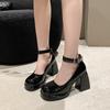 Fashion Spring New Coarse Heel Shoes Women Fashion Round Head Shallow Mouth with Thick Sole Anti-slip Wear-resistant High Heels